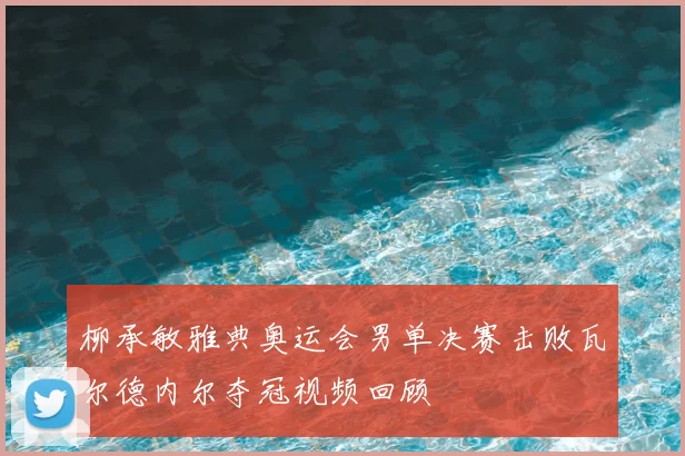 柳承敏雅典奥运会男单决赛击败瓦尔德内尔夺冠视频回顾