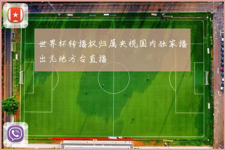 世界杯转播权归属央视国内独家播出无地方台直播